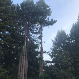 Meet your Posher, Kimberlee